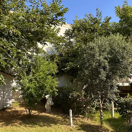 Ilios Premium Tatil Evi *